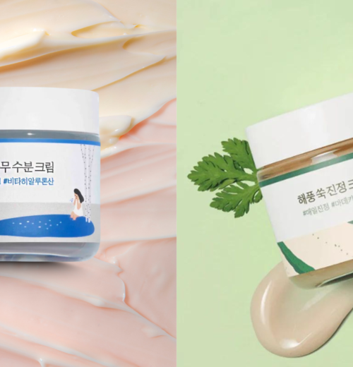 Round Lab Birch Juice Moisturizing Cream vs Mugwort Moisturizing Cream